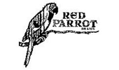 Black and white sketch of a parrot perched on a branch with the text "Red Parrot" beside it.